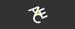 3525-ACE European Group LTD